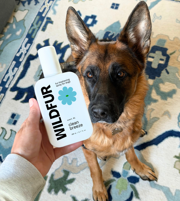Fur-Freshening Spray: Clean Breeze