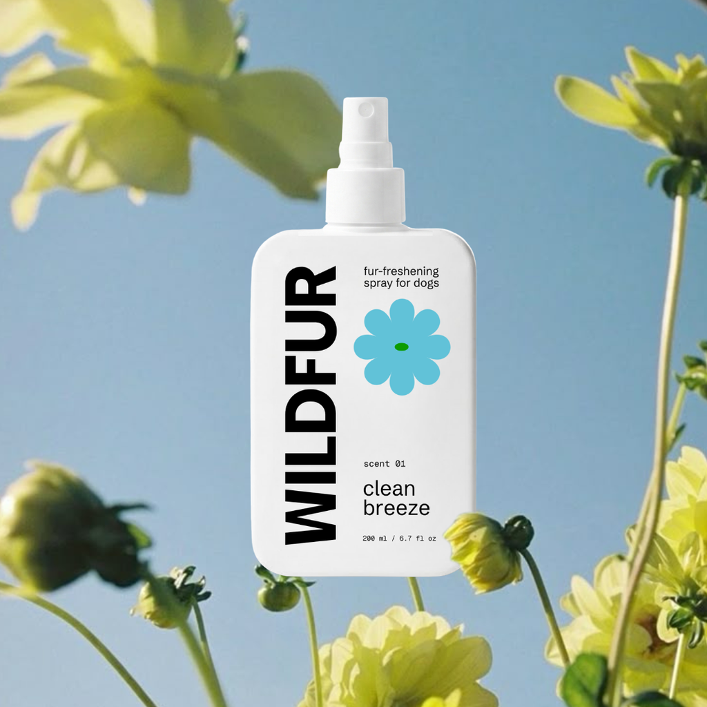 Fur-Freshening Spray: Clean Breeze