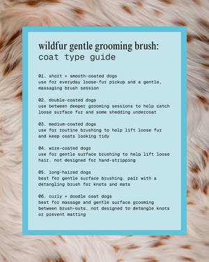 The Gentle Flower Grooming Brush