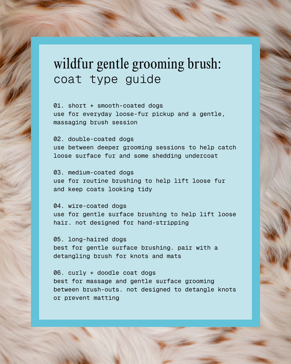 The Gentle Flower Grooming Brush