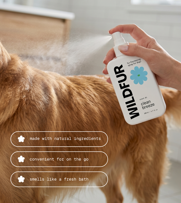 Fur-Freshening Spray: Clean Breeze