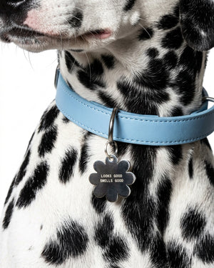 WILDFUR Charm