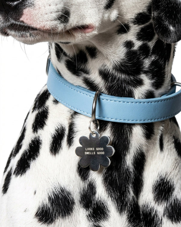WILDFUR Charm