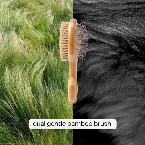 The Gentle Brush