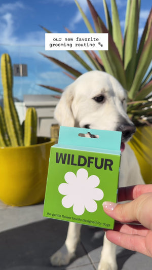 The Gentle Flower Grooming Brush