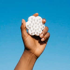 The Gentle Flower Grooming Brush